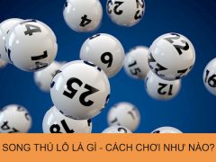 Song thủ lô được hiểu một cách đơn giản là hai con lô