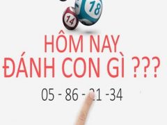 Hôm nay đánh số lô nào